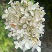 ララ 本日 club Ego