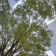 ヒメ日記 2026/04/13 20:03 投稿 ララ club Ego