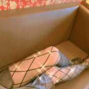 ヒメ日記 2025/03/31 00:03 投稿 本間 熟女の部屋