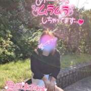 ヒメ日記 2025/03/26 14:13 投稿 みちよ 即アポ奥さん〜名古屋店〜