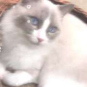 ヒメ日記 2024/12/23 00:38 投稿 あんり 卒業したて。