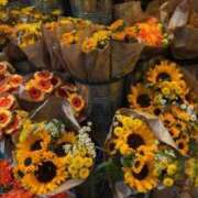 あんり 🌻 卒業したて。