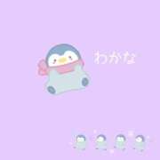 ヒメ日記 2025/01/30 20:19 投稿 わかな BAD COMPANY 札幌