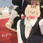 ヒメ日記 2025/05/04 19:29 投稿 わかな BAD COMPANY 札幌