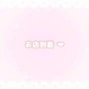 ヒメ日記 2025/11/29 11:02 投稿 ほむら メイドde本舗