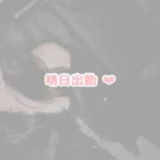 ヒメ日記 2026/02/20 22:45 投稿 ほむら メイドde本舗