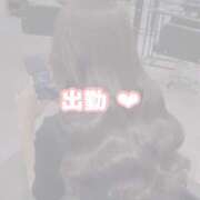 ヒメ日記 2026/02/23 08:42 投稿 ほむら メイドde本舗