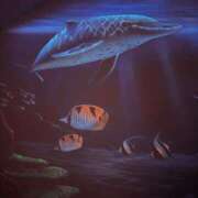 ヒメ日記 2025/02/23 10:22 投稿 ゆみな One More奥様　立川店