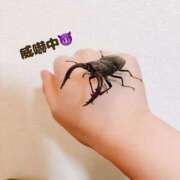 ヒメ日記 2025/07/22 15:19 投稿 ゆみな One More奥様　立川店