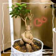 ゆみな 見てっ！セクシー♡ One More奥様　立川店