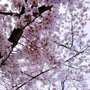 ヒメ日記 2026/03/30 16:49 投稿 ゆみな One More奥様　立川店