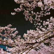 ヒメ日記 2025/04/17 19:52 投稿 ゆみな One More奥様　八王子店