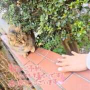 ヒメ日記 2026/02/24 16:23 投稿 ゆみな One More奥様　八王子店