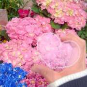 ヒメ日記 2026/04/09 17:39 投稿 ゆみな One More奥様　八王子店