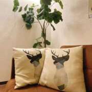 ヒメ日記 2024/12/14 16:26 投稿 一場さゆり 大人めシンデレラ 新横浜店（シンデレラグループ）