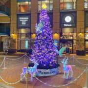 ヒメ日記 2024/12/16 18:58 投稿 一場さゆり 大人めシンデレラ 新横浜店（シンデレラグループ）