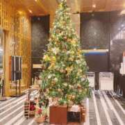 ヒメ日記 2024/12/23 22:04 投稿 一場さゆり 大人めシンデレラ 新横浜店（シンデレラグループ）