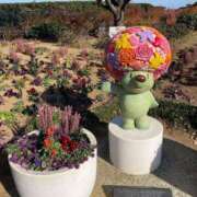 ヒメ日記 2024/12/23 22:22 投稿 一場さゆり 大人めシンデレラ 新横浜店（シンデレラグループ）