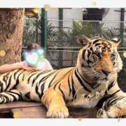 ヒメ日記 2024/12/27 16:32 投稿 一場さゆり 大人めシンデレラ 新横浜店（シンデレラグループ）