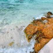 ヒメ日記 2025/02/08 22:22 投稿 一場さゆり 大人めシンデレラ 新横浜店（シンデレラグループ）