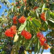 ヒメ日記 2025/03/15 10:16 投稿 一場さゆり 大人めシンデレラ 新横浜店（シンデレラグループ）