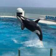 ヒメ日記 2025/05/05 19:50 投稿 一場さゆり 大人めシンデレラ 新横浜店（シンデレラグループ）