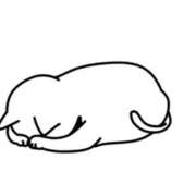 ヒメ日記 2025/05/11 09:07 投稿 一場さゆり 大人めシンデレラ 新横浜店（シンデレラグループ）