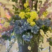 ヒメ日記 2025/06/20 22:14 投稿 一場さゆり 大人めシンデレラ 新横浜店（シンデレラグループ）