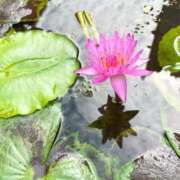 ヒメ日記 2025/07/08 19:22 投稿 一場さゆり 大人めシンデレラ 新横浜店（シンデレラグループ）