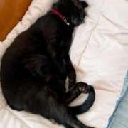 ヒメ日記 2025/08/22 12:15 投稿 一場さゆり 大人めシンデレラ 新横浜店（シンデレラグループ）