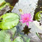 ヒメ日記 2025/08/30 21:42 投稿 一場さゆり 大人めシンデレラ 新横浜店（シンデレラグループ）