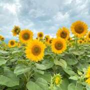 一場さゆり 12-17時 大人めシンデレラ 新横浜店（シンデレラグループ）