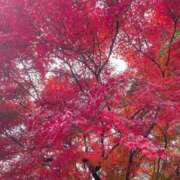 ヒメ日記 2025/12/28 14:55 投稿 一場さゆり 大人めシンデレラ 新横浜店（シンデレラグループ）