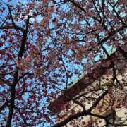 ヒメ日記 2025/03/20 11:33 投稿 じゅんな もしも素敵な妻が指輪をはずしたら・・・カーラ