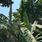 ヒメ日記 2025/04/27 21:13 投稿 じゅんな もしも素敵な妻が指輪をはずしたら・・・カーラ