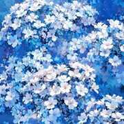 ヒメ日記 2025/08/04 12:23 投稿 じゅんな もしも素敵な妻が指輪をはずしたら・・・カーラ