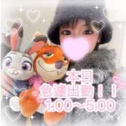 ヒメ日記 2025/12/24 10:19 投稿 【こはる】業界未経験美巨乳ちゃん バブルリングプラス