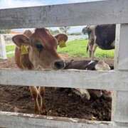 ヒメ日記 2025/09/11 12:10 投稿 なつみ One More奥様　八王子店