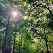 ヒメ日記 2025/05/15 15:34 投稿 いとは もしも清楚な20、30代の妻とキスイキできたら横浜店