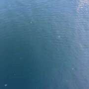 ヒメ日記 2025/08/05 20:04 投稿 いとは もしも清楚な20、30代の妻とキスイキできたら横浜店