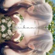 ヒメ日記 2025/05/30 13:34 投稿 いち華 神の領域