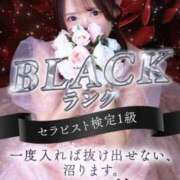 ヒメ日記 2025/06/14 13:54 投稿 いち華 神の領域