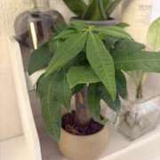 ヒメ日記 2025/10/22 12:34 投稿 いち華 神の領域