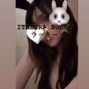 ヒメ日記 2025/05/04 13:50 投稿 ラッキー いたずらバニーちゃん