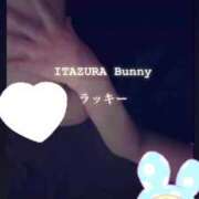 ヒメ日記 2025/05/04 15:46 投稿 ラッキー いたずらバニーちゃん