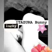 ヒメ日記 2025/05/05 12:25 投稿 ラッキー いたずらバニーちゃん