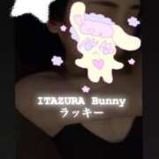 ヒメ日記 2025/05/06 00:01 投稿 ラッキー いたずらバニーちゃん