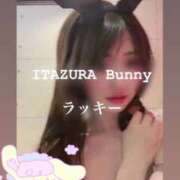 ヒメ日記 2025/05/06 22:30 投稿 ラッキー いたずらバニーちゃん