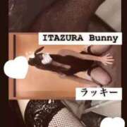 ヒメ日記 2025/05/10 18:54 投稿 ラッキー いたずらバニーちゃん