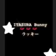 ヒメ日記 2025/05/12 11:50 投稿 ラッキー いたずらバニーちゃん